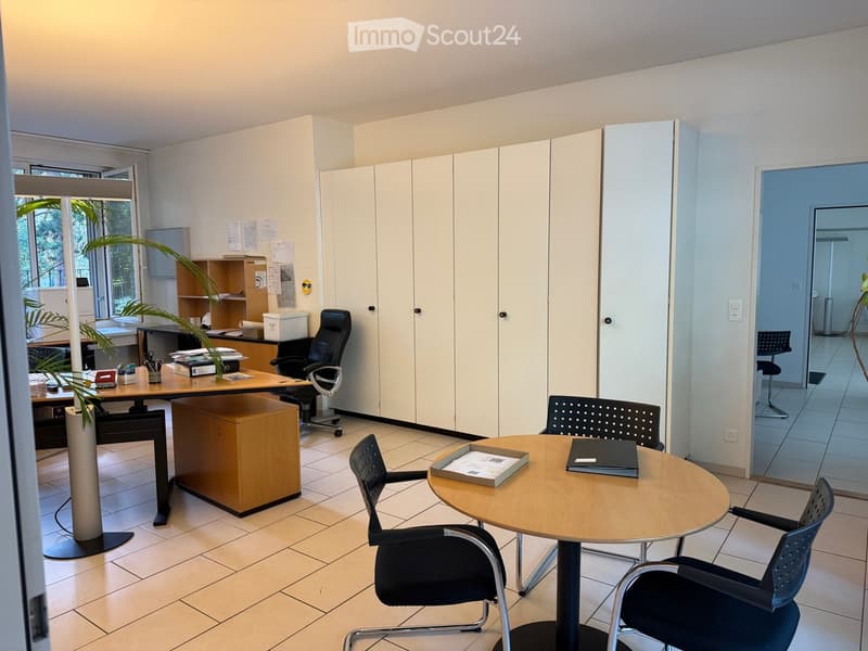 Office space with a desk, office chair, round meeting table with chairs, plant, and cabinet.