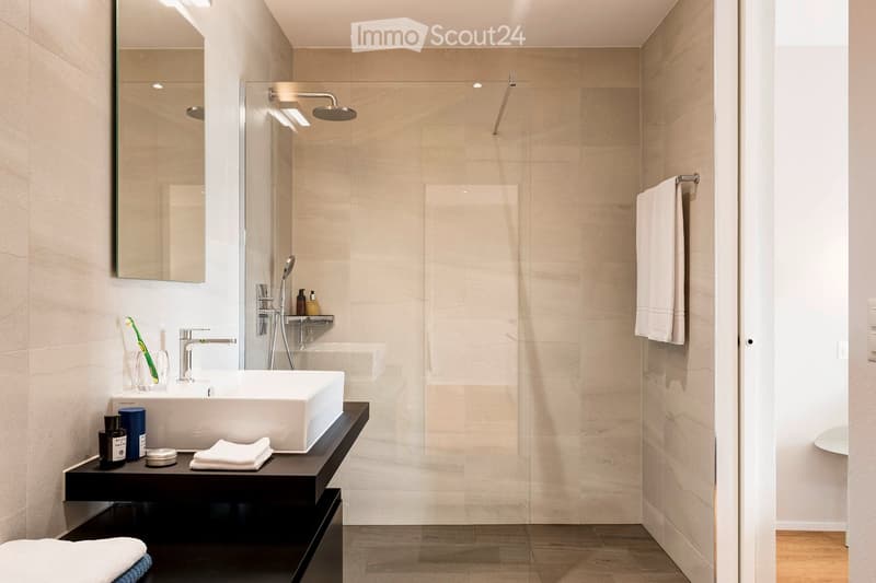 Modern bathroom with a white sink, chrome faucet, large mirror, glass-enclosed shower, and neatly arranged towels and toiletries.
