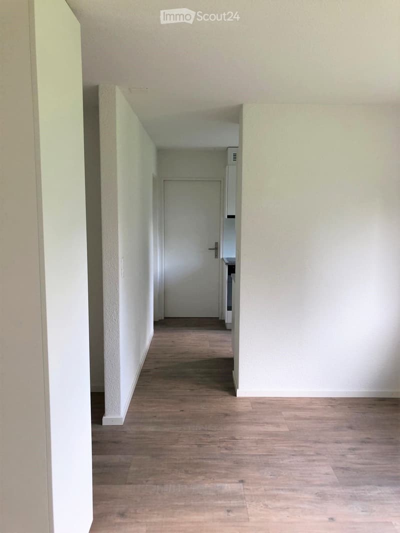Empty hallway with light-colored walls and wooden flooring, leading to a closed door at the end.