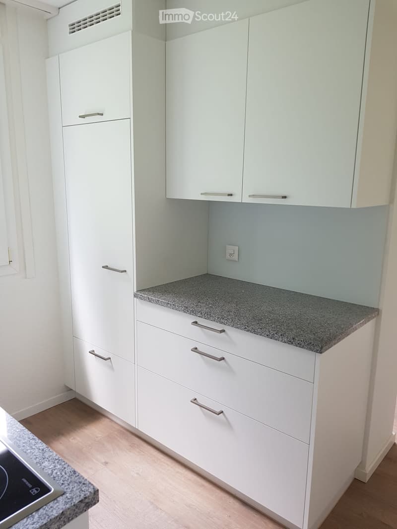 Modern kitchen with white cabinets, granite countertop, and wooden flooring.