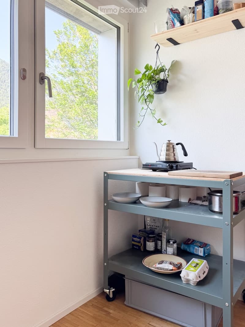 Compact kitchen area with a light blue mobile cart, electric stove, teapot, bowls, and shelves holding various kitchen items and a potted plant.