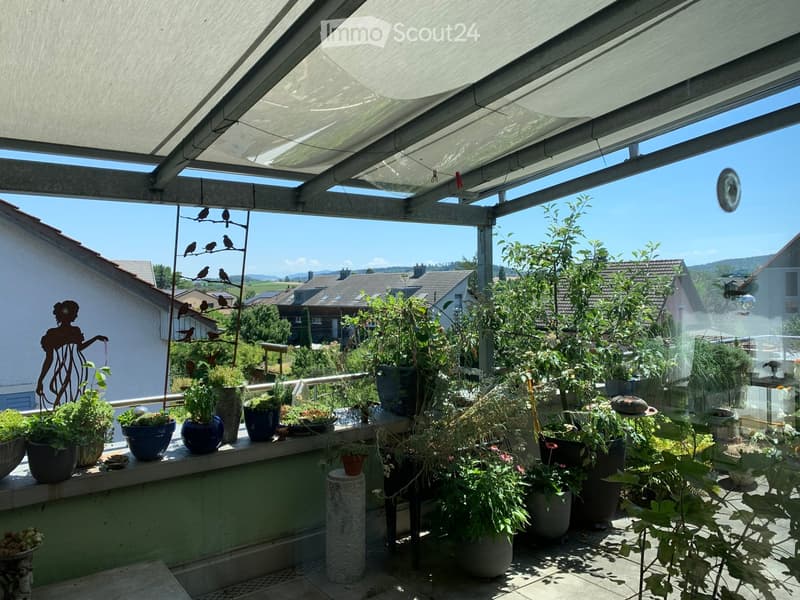 A covered balcony with numerous potted plants, a decorative bird sculpture, and a view of the surrounding neighborhood and hills.