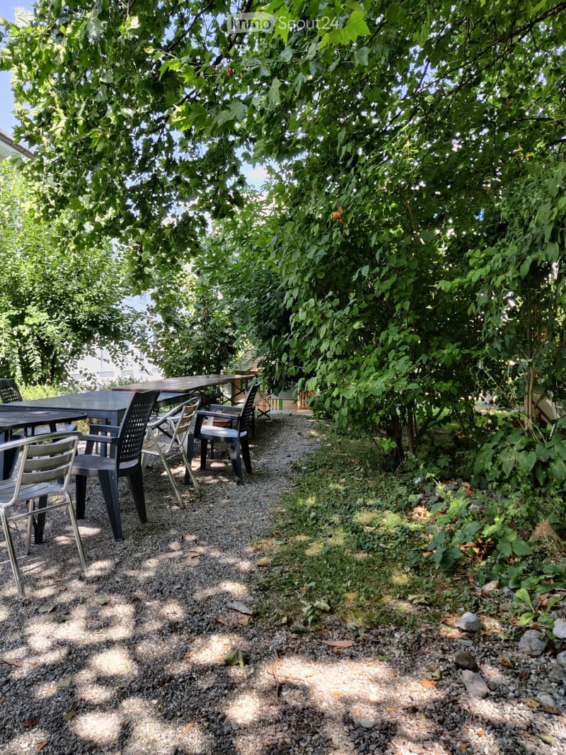 A shaded outdoor seating area with a table and chairs under a large tree, surrounded by gravel and greenery.