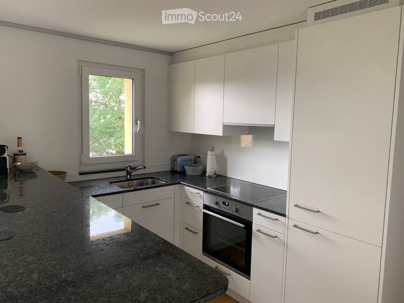 Modern kitchen with white cabinets, granite countertops, stainless steel appliances, and a window overlooking greenery.
