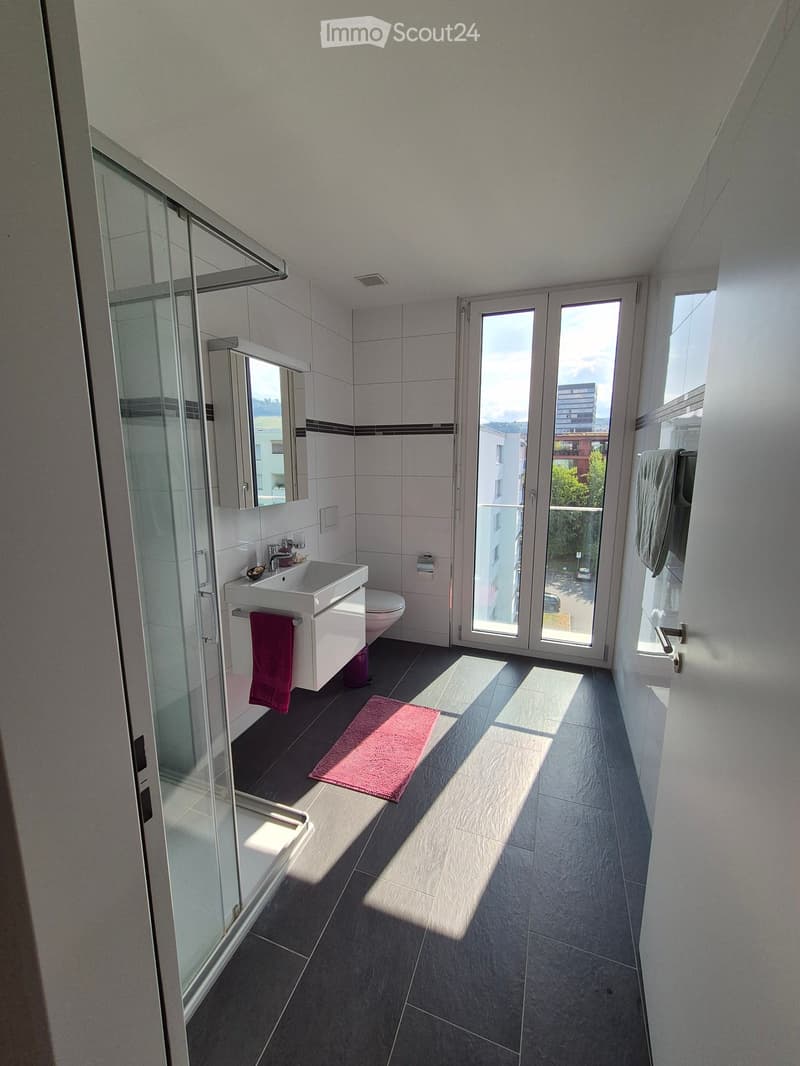 Modern bathroom with dark tiled floor, white walls, glass shower enclosure, sink, toilet, and a pink towel on the floor.
