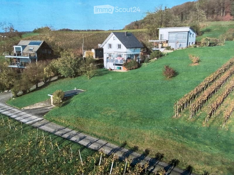 Aerial view of a rural property with multiple houses, a vineyard, and a well-maintained lawn.