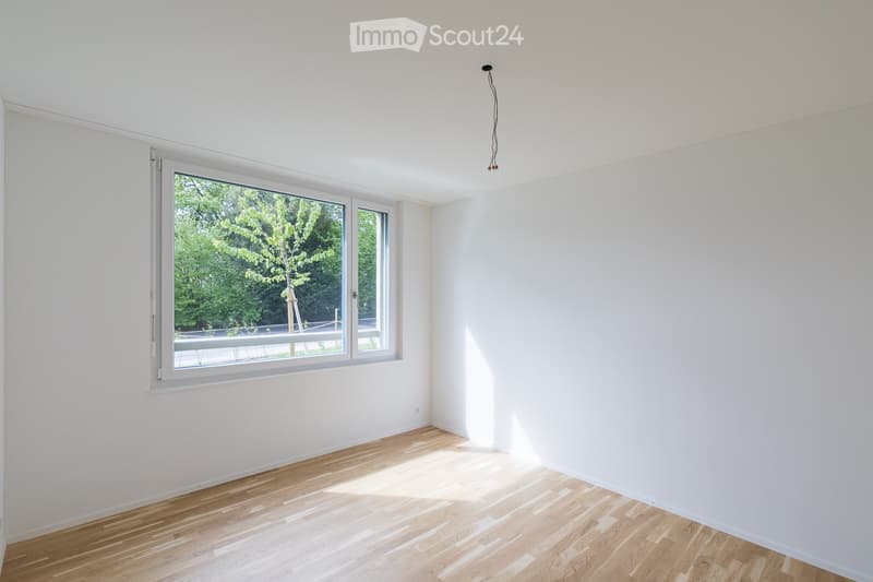Empty room with white walls, wooden floor, and large window showing greenery outside.