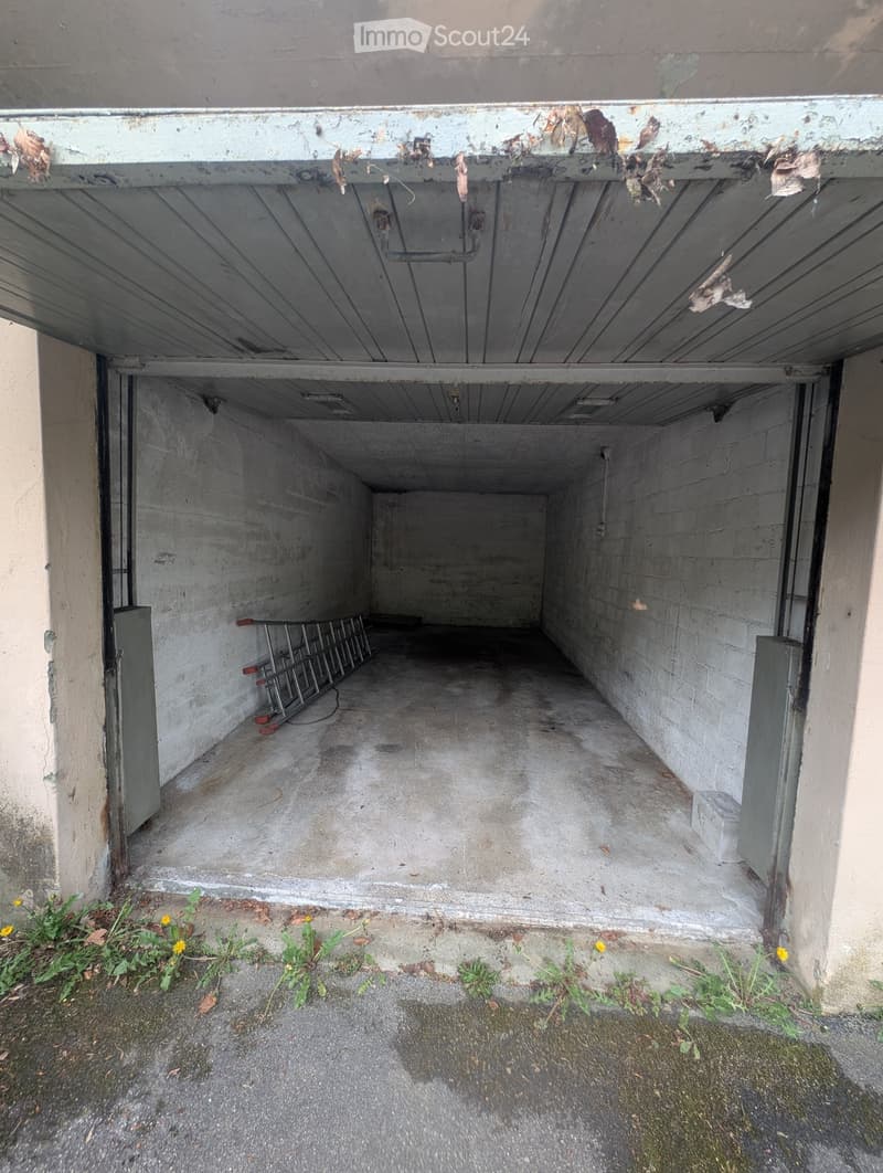 Empty garage with concrete floor, metal shelving unit, and some weeds growing around the entrance.