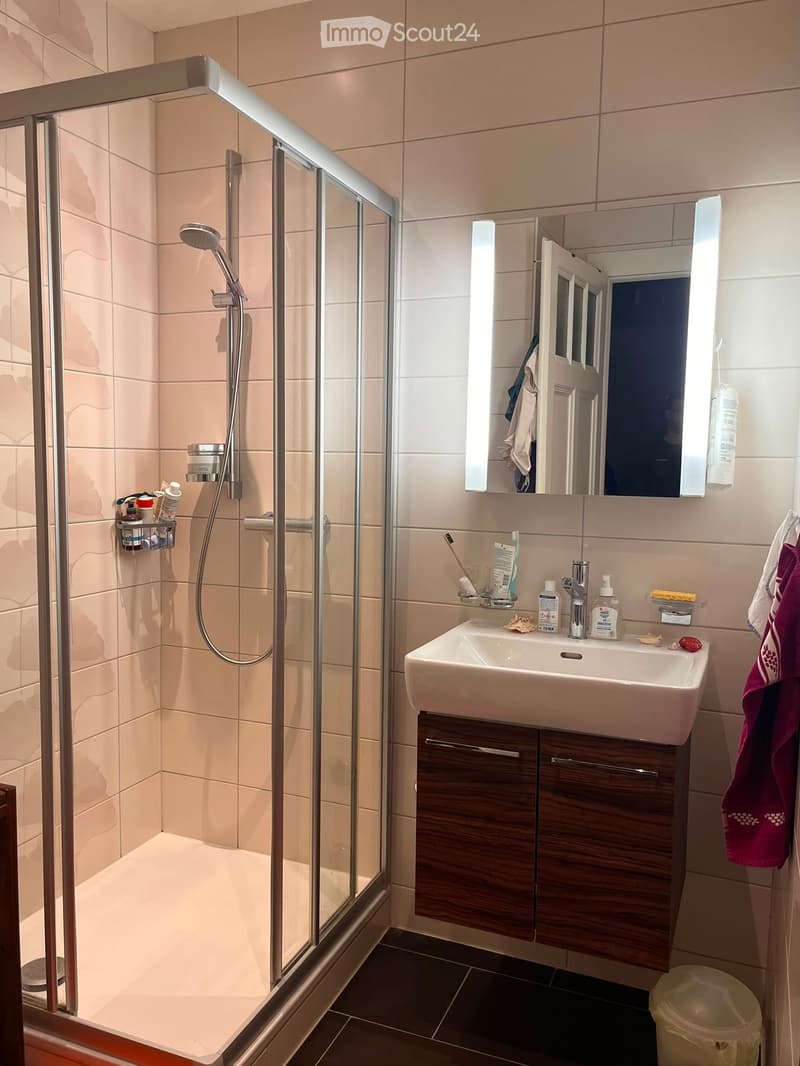 Modern bathroom with a glass-enclosed shower, a sink with a wooden cabinet, a mirror with built-in lighting, and various toiletries.