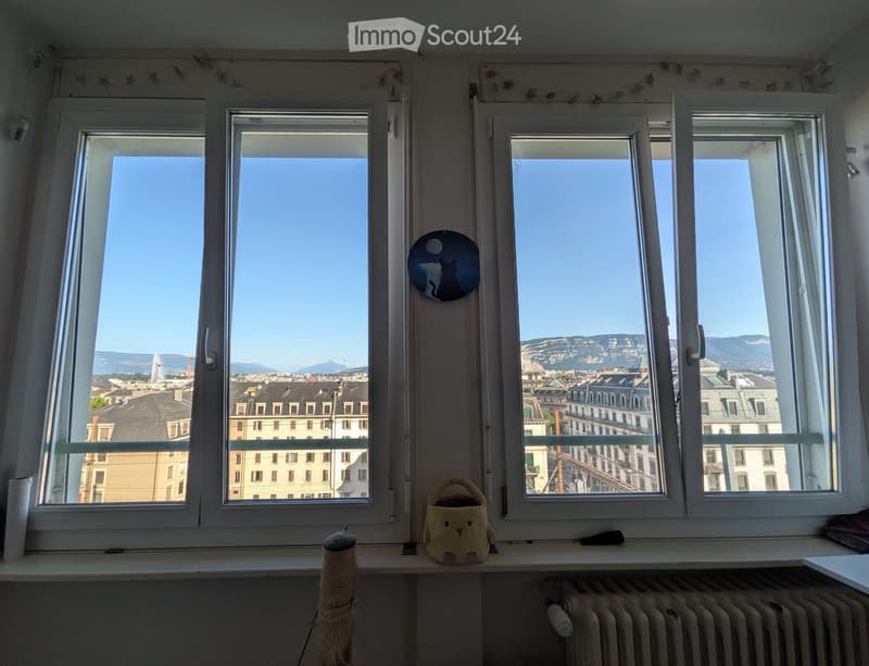 Windows with a cityscape view, a small cat toy on the windowsill, and a radiator below.