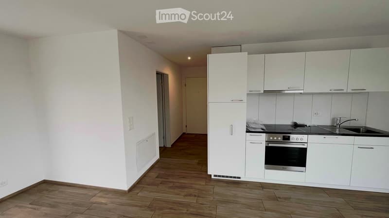 Modern kitchen with white cabinets, stainless steel appliances, and wooden flooring.