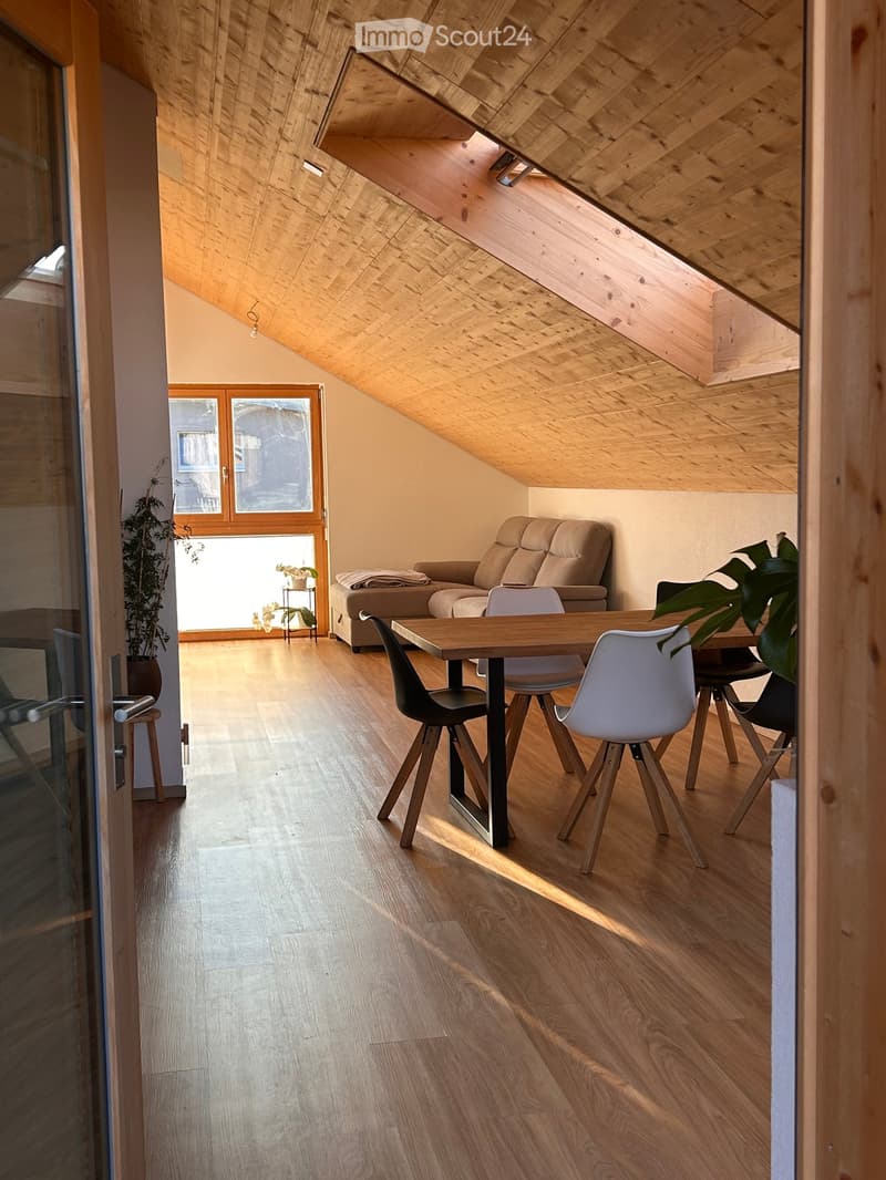 Bright, modern living space with wooden floors, a slanted wooden ceiling, a sofa, a dining table with chairs, and a small plant near the window.