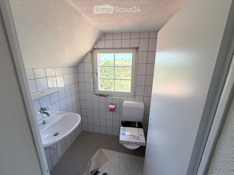 Small bathroom with white tiled walls, a sink, a toilet, and a window offering a view of greenery outside.