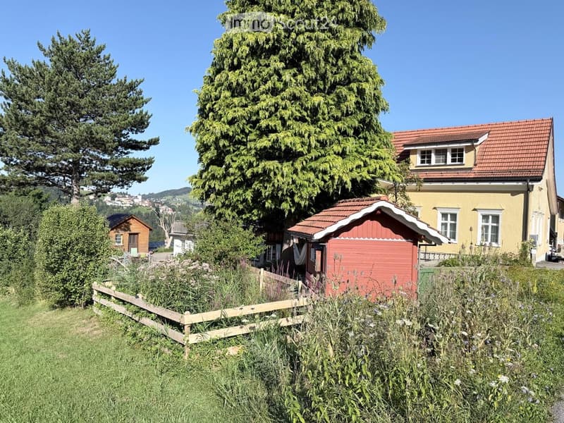 A garden area with a wooden fence, a red shed, and a yellow house with a red-tiled roof in the background. The garden is lush with greenery and flowers.