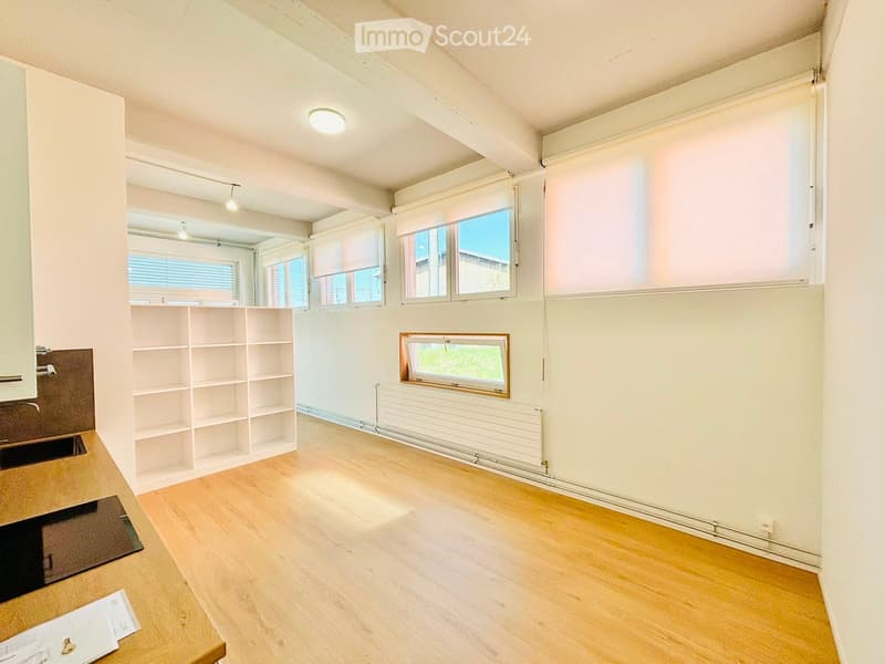 Empty room with light wooden flooring, white walls, and multiple windows with blinds. Features built-in shelving units and a small sink area.