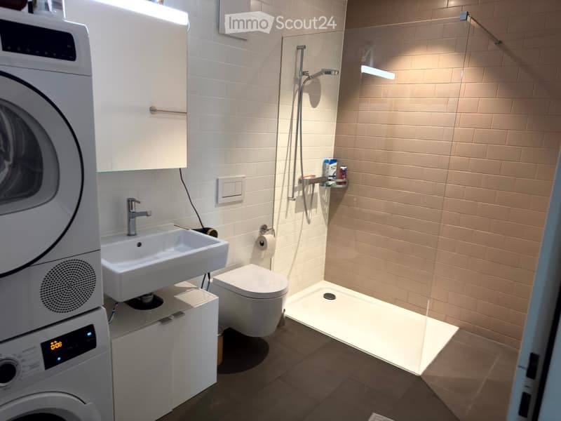 Modern bathroom with a white sink, toilet, shower, and washing machine. Features a glass shower enclosure, tiled walls, and a small shelf with toiletries.