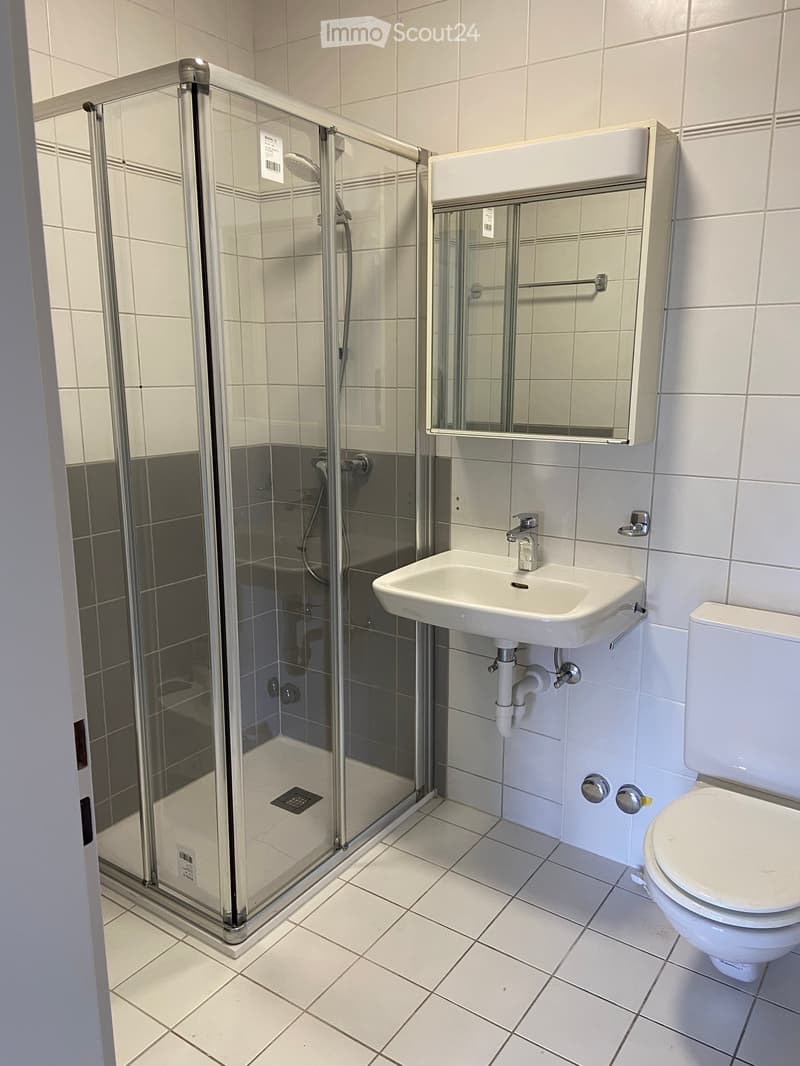 Bathroom with shower enclosure, white sink, white toilet, white tiles, mirror with towel rack, grey tiles on the wall
