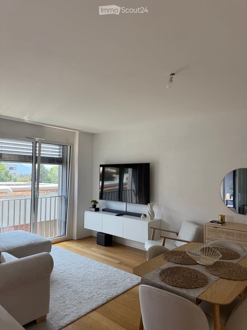Modern living room with a grey sofa, ottoman, wooden dining table, chairs, TV, white cabinet, vase, and a small plant on the cabinet.