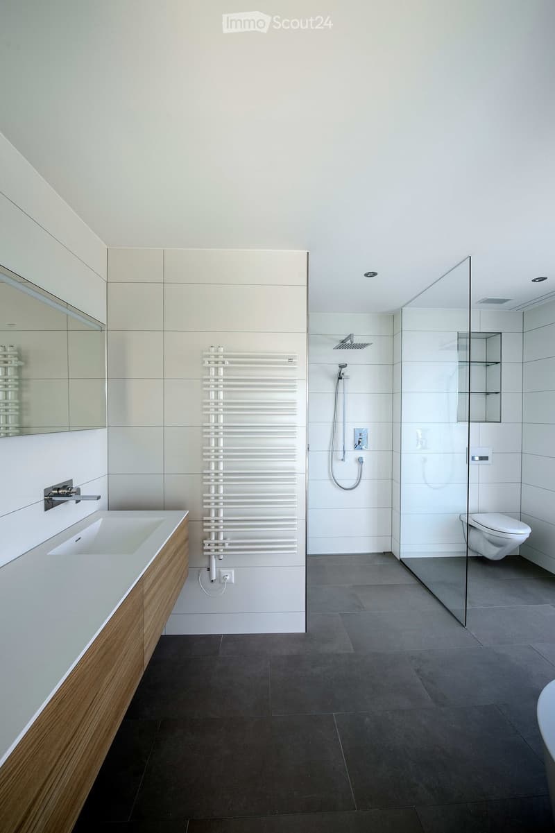 Modern bathroom with a large sink, toilet, shower, radiator, and mirror. The space features white tiles and a sleek design.