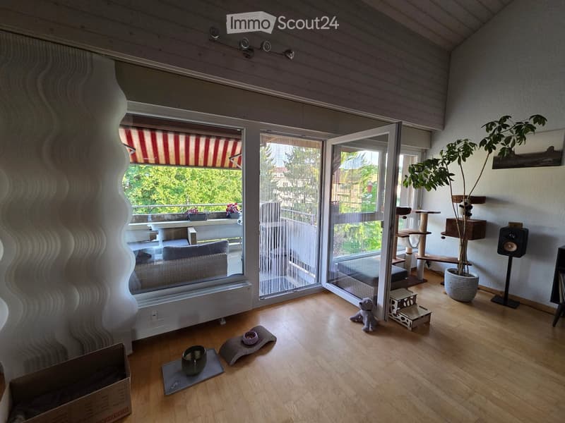 Bright living room with wooden flooring, large windows, and a balcony. Features a sofa, cat tree, cat bed, cat food bowl, speaker, and a potted plant.