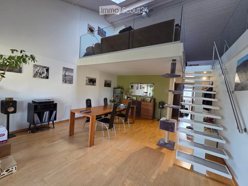 Open-plan living and dining area with wooden flooring, a cat tree, a staircase leading to a loft area, and a dining table with chairs.