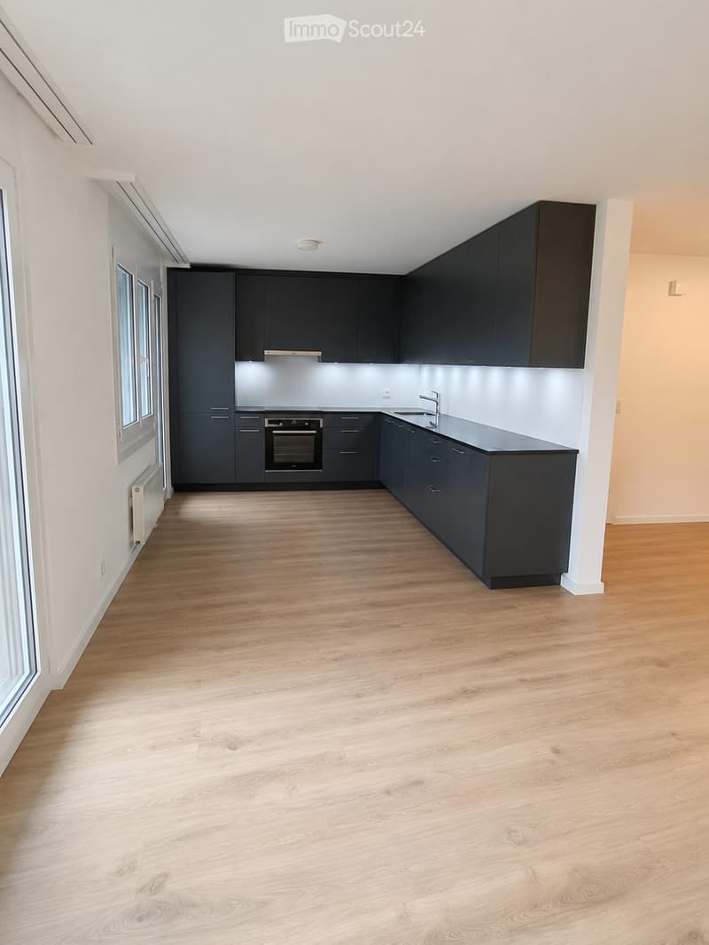Modern kitchen with dark grey cabinets, light wooden flooring, and stainless steel appliances including an oven and sink.