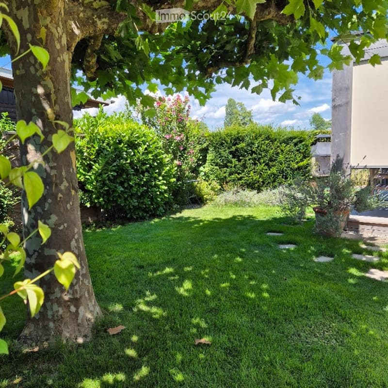 A well-maintained garden with a lush green lawn, a large tree providing shade, and various bushes and plants surrounding the area.