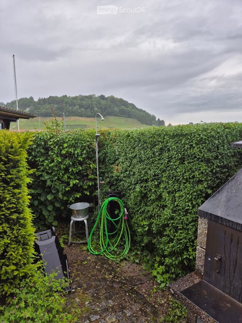 A small outdoor garden area enclosed by a tall hedge, featuring a hose, a metal stool, a bucket, and a barbecue grill.