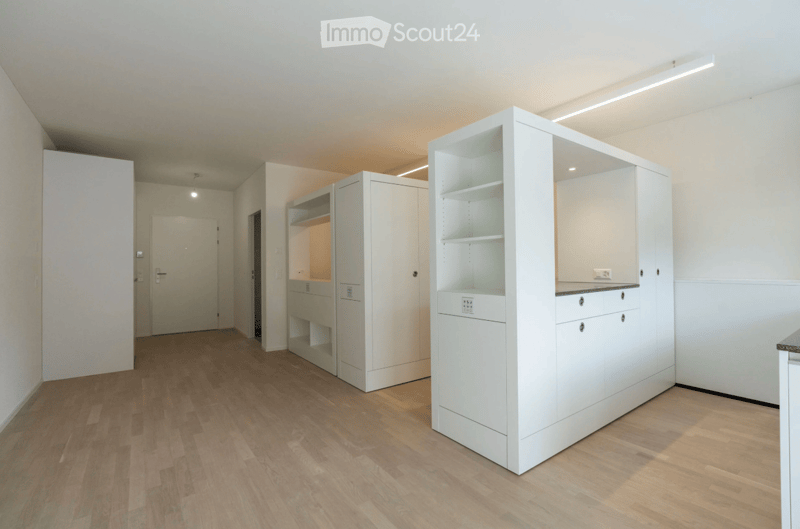 Modern, minimalist room with light wooden flooring, white walls, and built-in white cabinets and shelves.