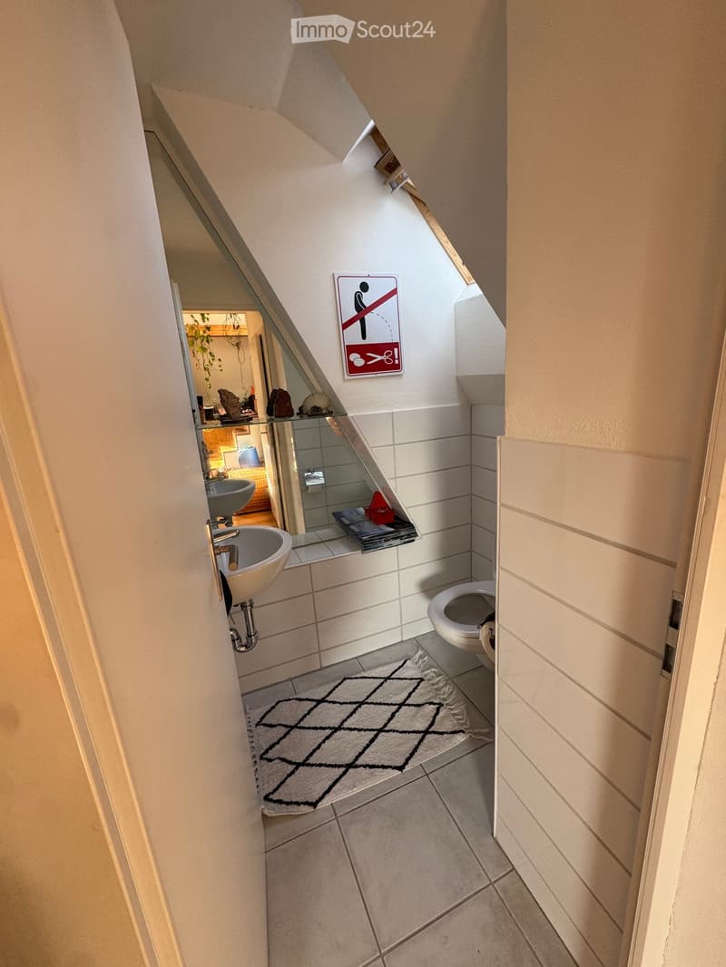 Small bathroom with a sink, toilet, mirror, and a patterned rug on the floor. A sign is visible on the wall.