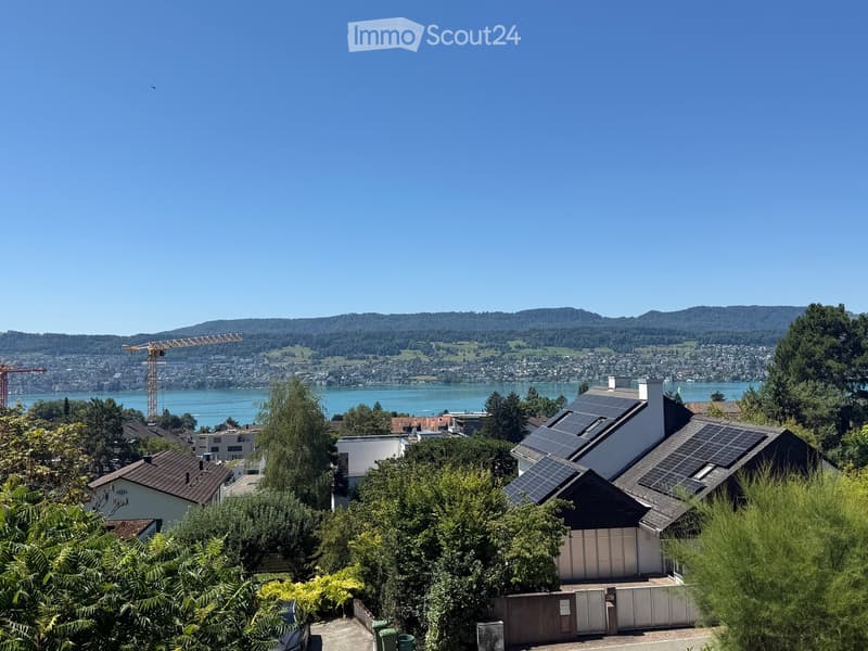 View of a residential area with houses, solar panels on roofs, trees, and a distant lake and mountains.