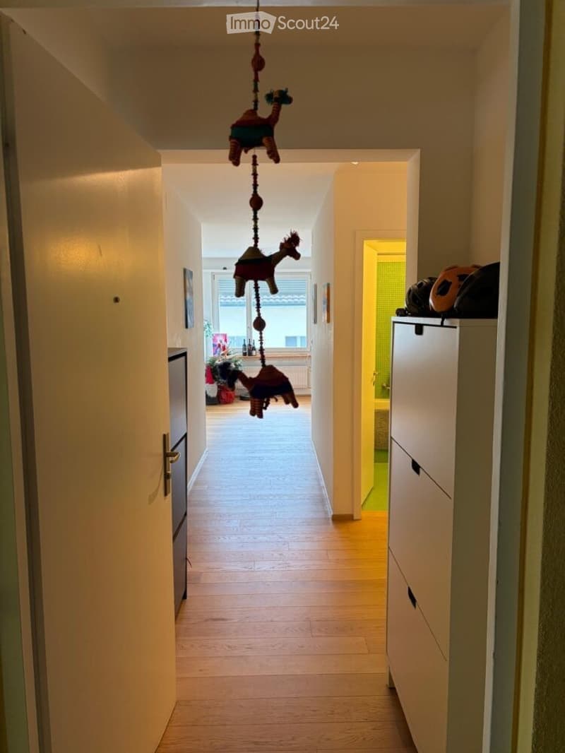 A narrow hallway with wooden flooring, white walls, and a decorative hanging toy camel. The hallway leads to a room with a window and some furniture visible in the background.