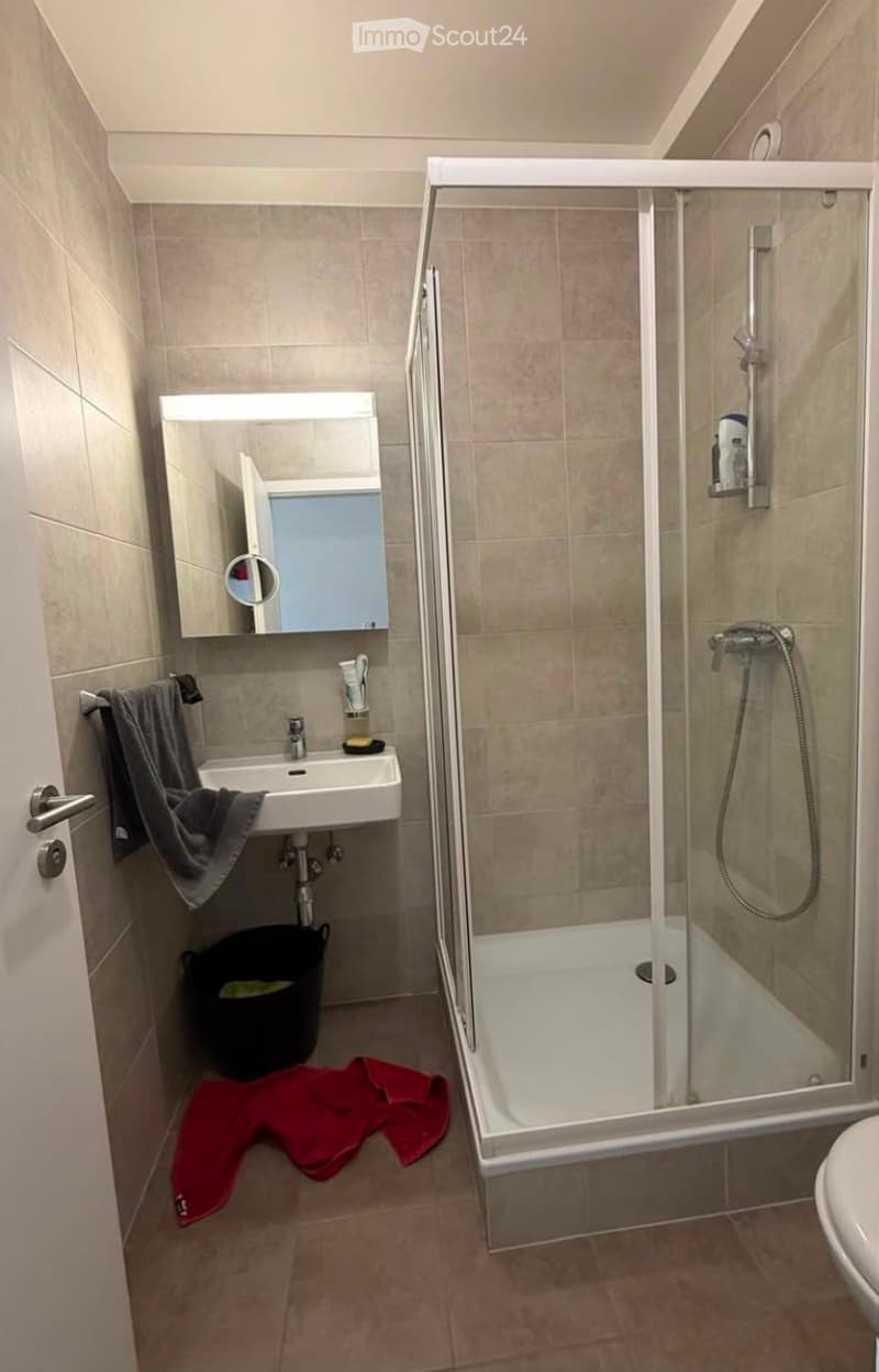 Modern bathroom with a white sink, mirror, glass-enclosed shower, and a red towel on the floor.