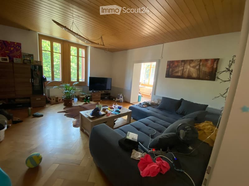 Living room with wooden floor, slanted wooden ceiling, large windows, sofa, coffee table, TV, fan, plant, and cabinet.