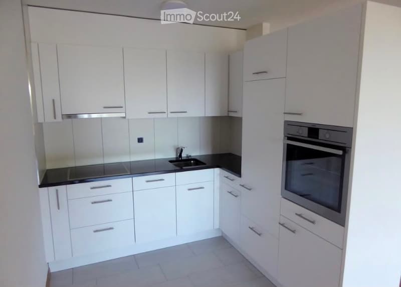 Modern kitchen with white cabinets, black countertops, and built-in appliances including an oven and sink.