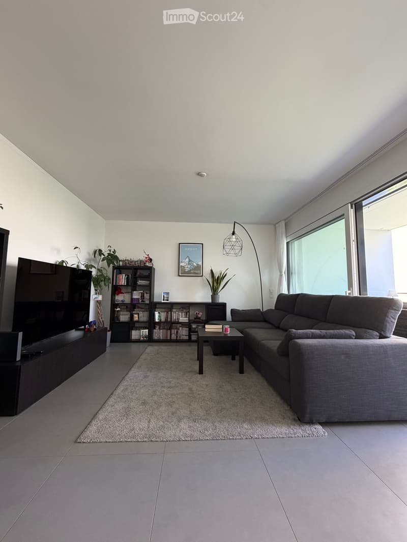 Modern living room with grey sectional sofa, coffee table, bookshelf, TV, floor lamp, and plants.