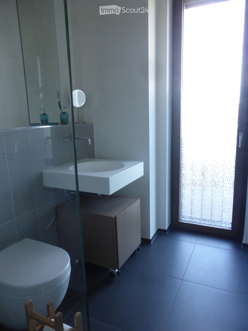 Modern bathroom with a white sink, faucet, mirror, toilet, and a glass-enclosed shower area. The room features a large window with frosted glass and a dark tiled floor.