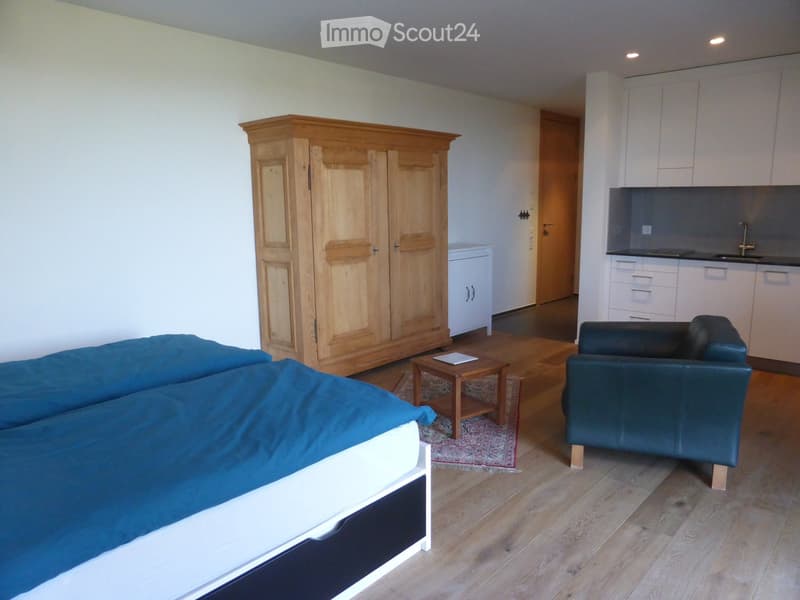 A furnished room with a sofa, a small table, a chair, a large wooden wardrobe, and a modern kitchen area with white cabinets and a sink.