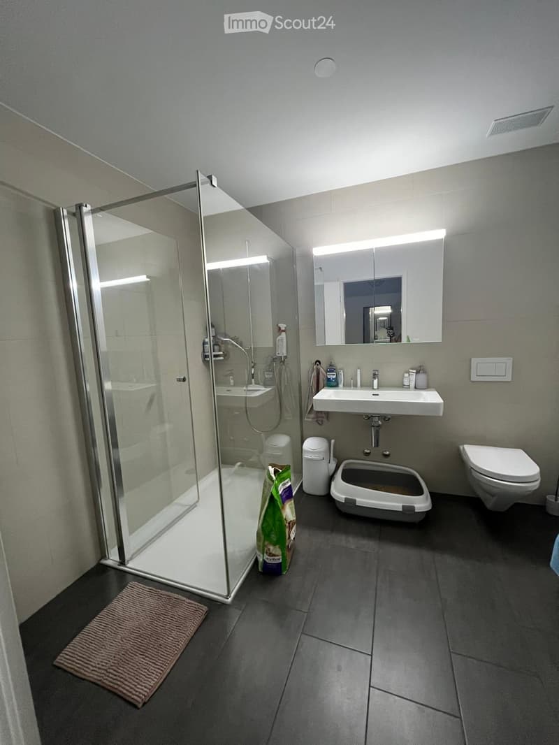 Modern bathroom with a glass-enclosed shower, white sink, mirror, toilet, and a cat litter box. Includes a small rug and a trash bin.