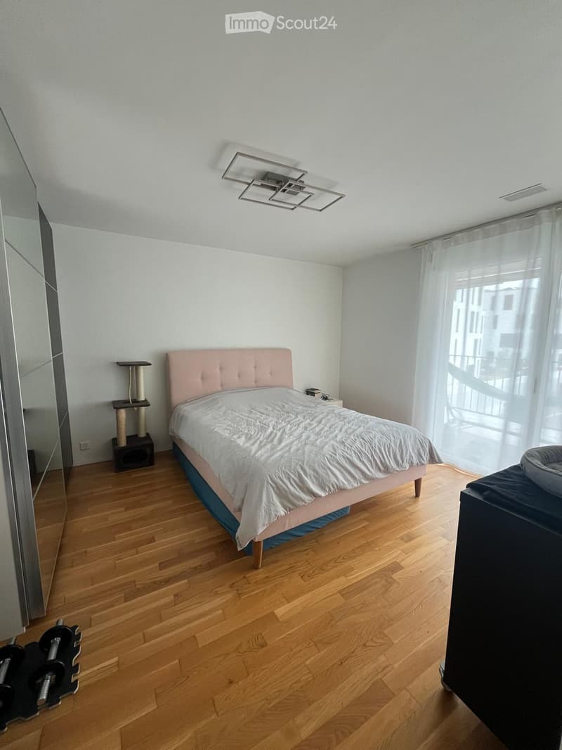 Modern bedroom with wooden flooring, a pink upholstered bed, a cat tree, a mirror, and a small weight set near the bed.