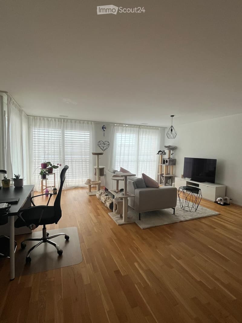 A modern living room with wooden flooring, a grey sofa, a cat tree, a desk with a chair, and a television on a stand.