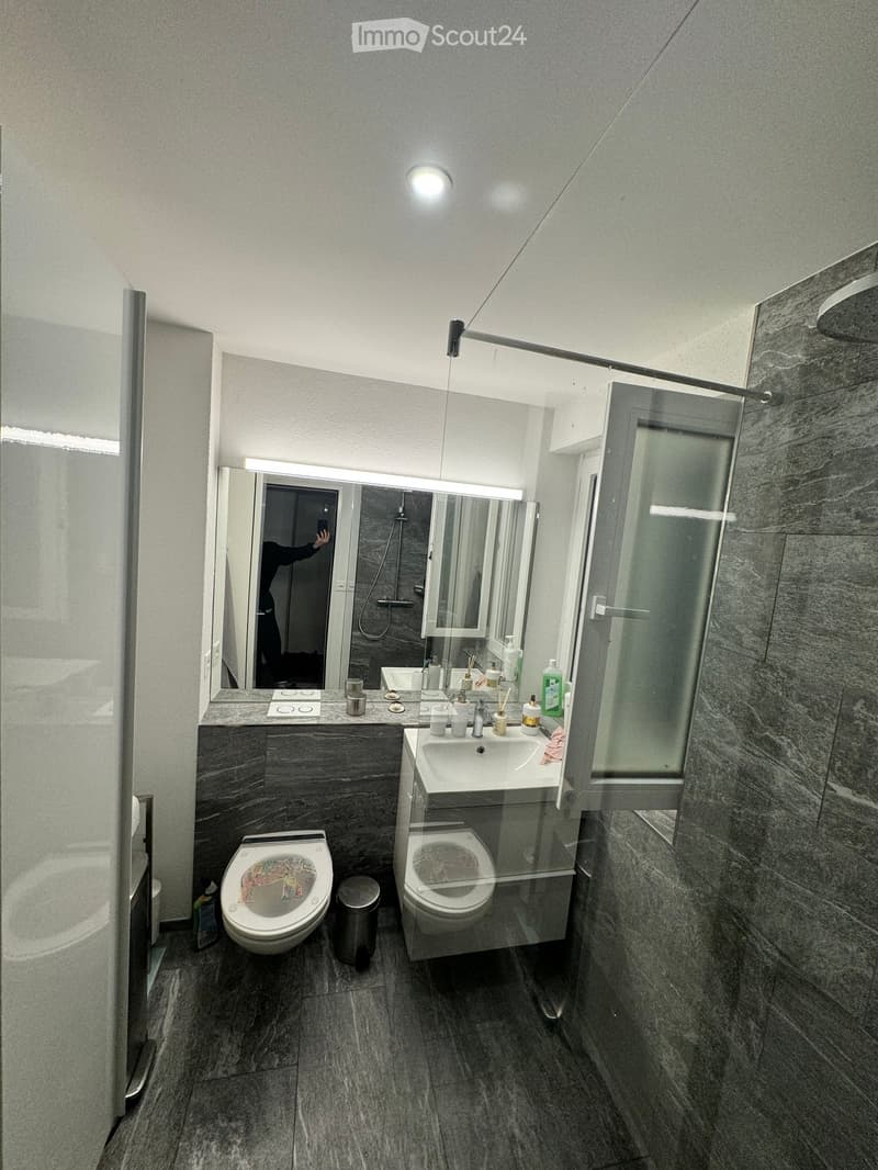 Modern bathroom with dark grey marble tiles, a large mirror, a double sink, a toilet, and a glass-enclosed shower area.