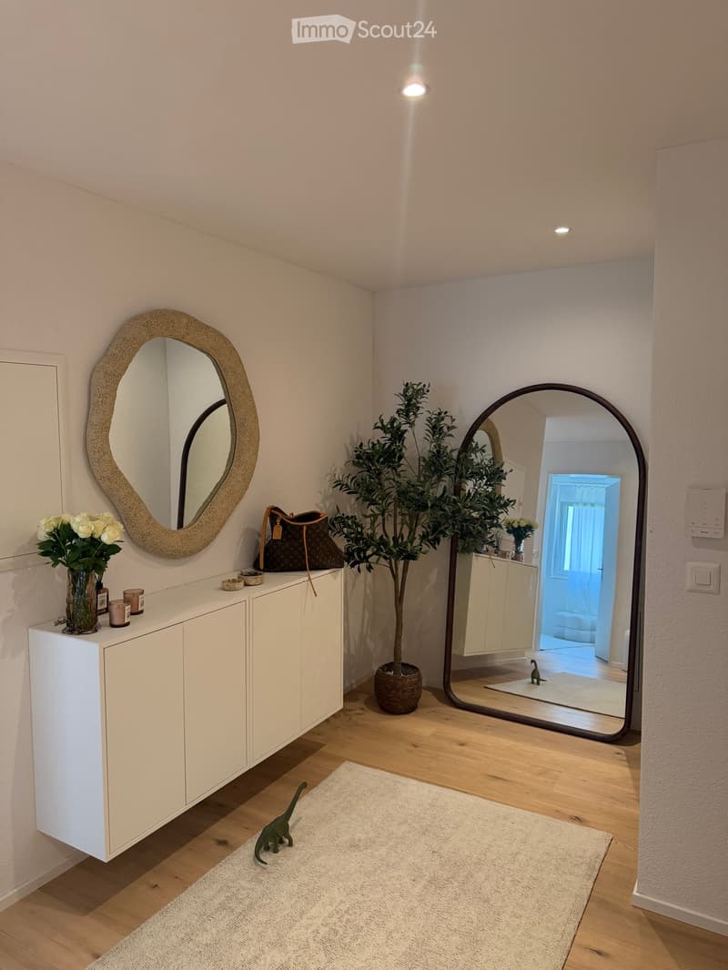 A well-lit hallway with a white cabinet, two large mirrors, a potted plant, and decorative items on the cabinet.