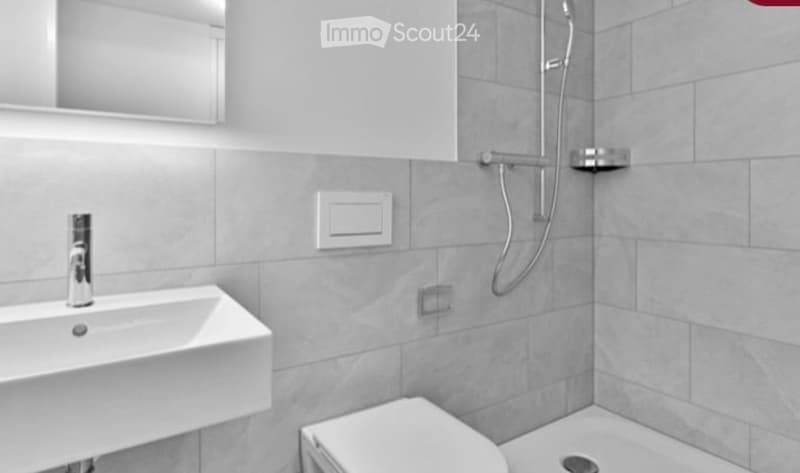 Modern bathroom with a white sink, chrome faucet, mirror, toilet, and a showerhead with a handheld sprayer.
