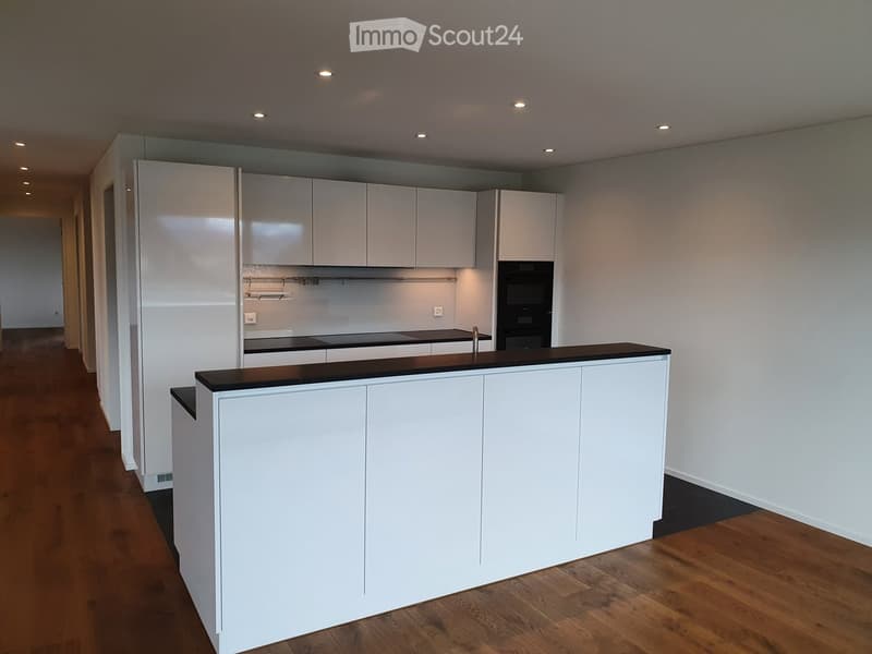 modern kitchen with white cabinets, black countertops, wooden floor, built-in oven and dishwasher