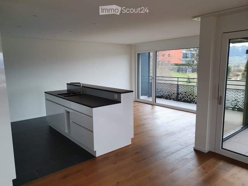 modern kitchen with white cabinets, black countertops, sink, faucet, sliding glass doors, balcony, wooden floor