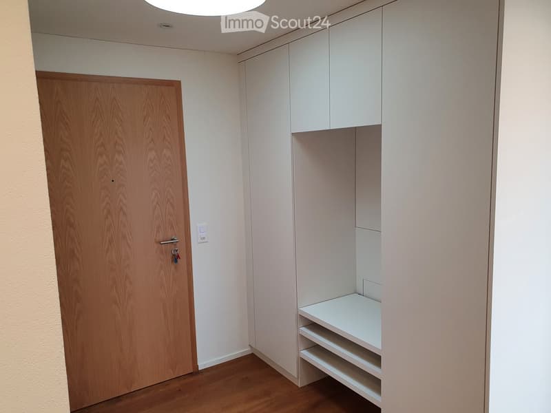 wooden door, white built-in wardrobes, wooden floor, white shelves