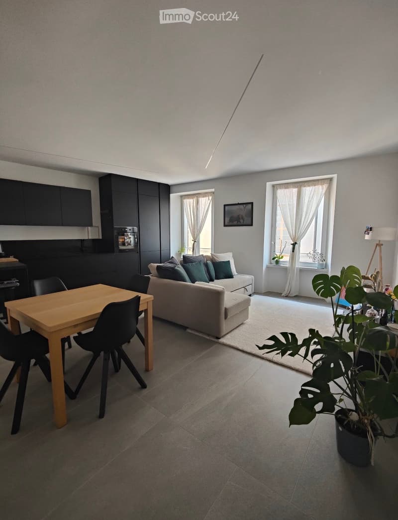 Modern living room with a light-colored sofa, wooden dining table, black chairs, and a large potted plant near the window. The room features large windows with white curtains and a sleek black cabinet.