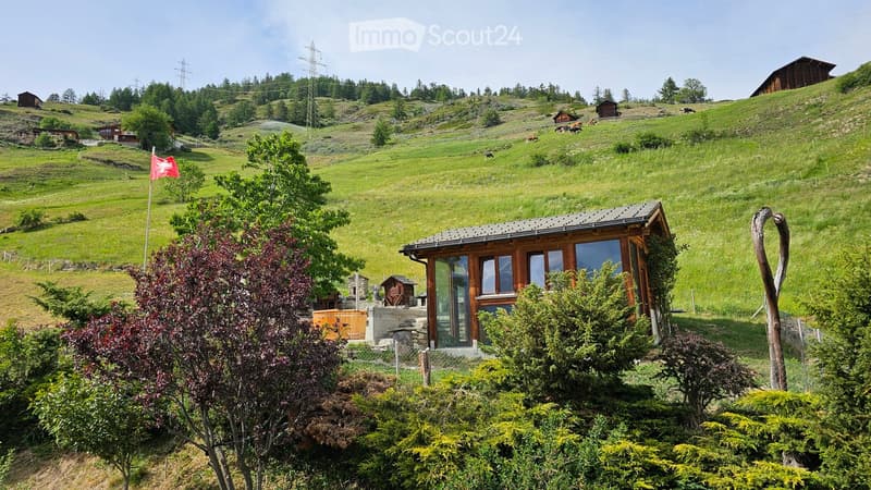 A wooden house with large windows and a modern design is situated in a lush green field, surrounded by trees and shrubs. The area includes a small wooden structure and a flagpole with a red flag.