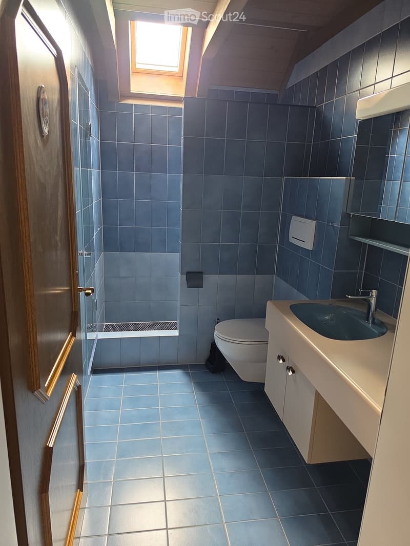 Modern bathroom with blue tiles, a toilet, a sink with a faucet, a mirror, and a glass-enclosed shower stall. The room features a skylight window and a wooden door.
